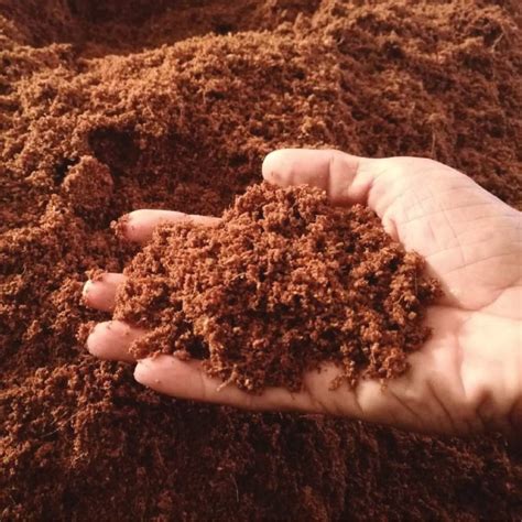 coco peat bellarine soil tech