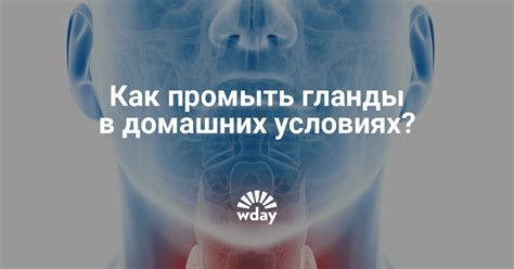 Видео, как промыть гланды в домашних условиях промывать | WDAY