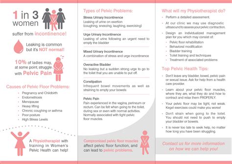 female pelvic health brochure page 2 - Scarborough Physio and Health
