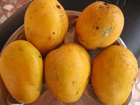manggo wikipidia