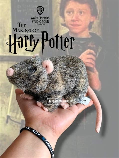 Harry Potter: Scabbers, Ron Weasley's pet rat plush, Hobbies & Toys ...