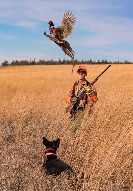 5 Tips for a Successful DIY Solo South Dakota Pheasant Hunt | Travel ...