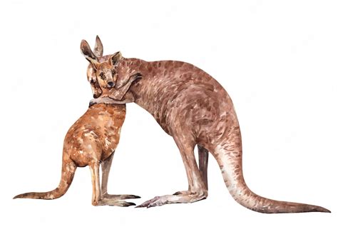 Premium Vector | Mother and baby kangaroo hug paint. australia animal ...