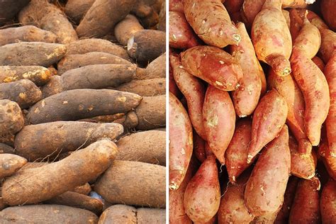 Yams vs. Sweet Potatoes: What's the Difference?