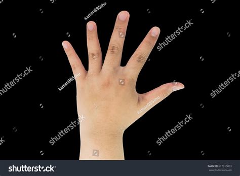 Hands Vital Organs Our Human Body Stock Photo 617615003 | Shutterstock