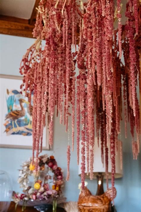 Eco Friendly Flowers for Bouquets - Fierceblooms Sustainable Flowers