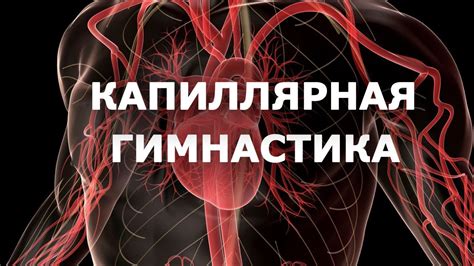 Здоровье ☆ Капиллярная гимнастика ☆ Гимнастика для сосудов - YouTube