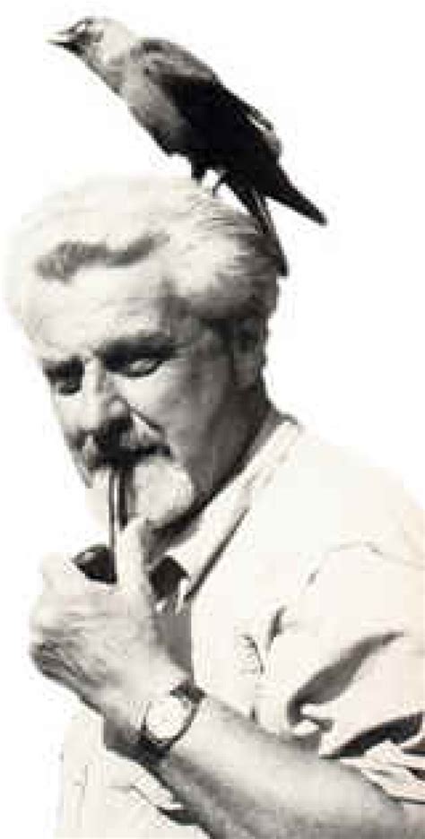 Les choucas de Konrad Lorenz