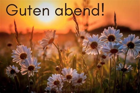 Guten abend bild Brücke kostenlos downloaden