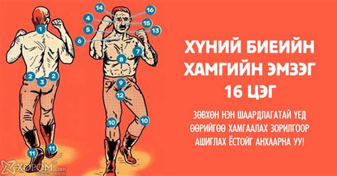 Хүний биеийн хамгийн эмзэг 16 цэг. Зөвхөн зайлшгүй нөхцөлд, халдлагаас ...