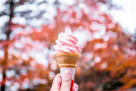 Ice Cream Japanese Shop | aria-database.com