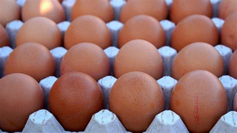 Россияне за год съедают яиц на 8% больше нормы — аналитики - 24СМИ