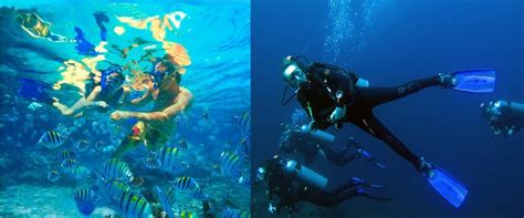 Snorkeling vs Scuba Diving in Bali | Blue Season Bali