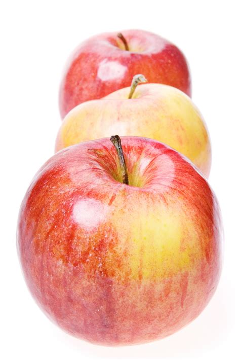 If Apples Are Red Coded As 541 3