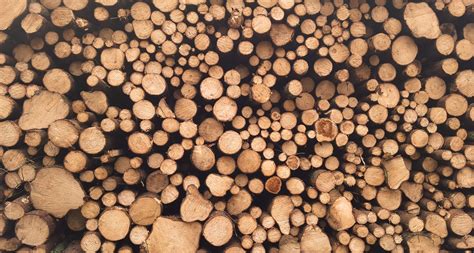 How to Check Website Logs - Stackify