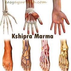 Kshipra Marma – Anatomical Location, Effect Of Injury Median Nerve ...
