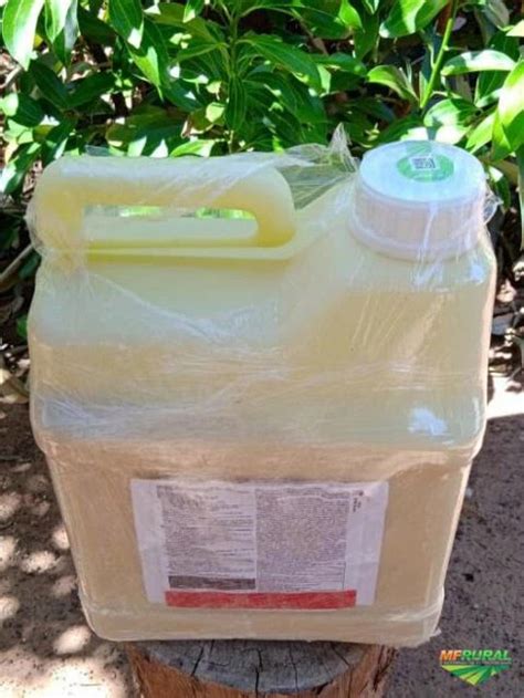 Regent® 800 Wg em São Luís MA à venda. Compre direto do vendedor 409288