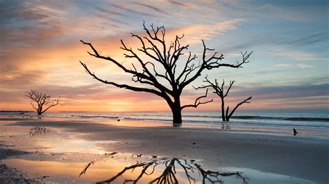 Is Charleston SkipTheGames The Secret To A Better Vacation? Image 19
