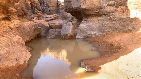 tassili  ajjer