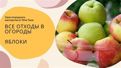 729. Яблоки. Польза кожуры, падалицы и через компост. - YouTube