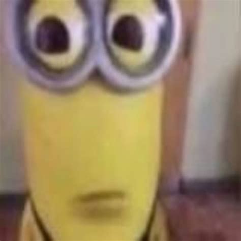 Goofy Ahh South Park Images | Minions, Minion meme, Memes
