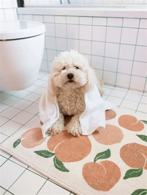 5 Ways To Rescue Your Rug From The Sticky Grip Of Gum