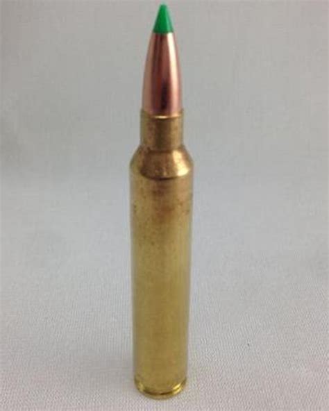 .300 Remington Ultra Mag 180gr Ballistic Tip - Georgia Arms