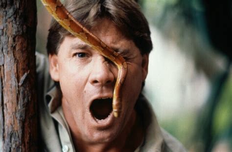Steve Irwin Crikey Quotes. QuotesGram