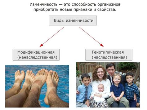 Закономерности изменчивости - online presentation