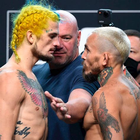 Download Marlon Vera Sean O'Malley Blonde Wallpaper | Wallpapers.com