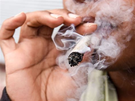 Marijuana use linked to poorer school performance, major new research