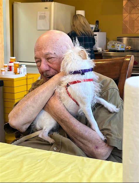 National funding for yorkie rescue 14