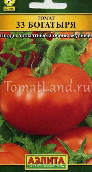 Томат 33 богатыря: описание сорта, ОТЗЫВЫ, фото | tomatland.ru