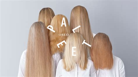Paleet - Shillington Design Blog