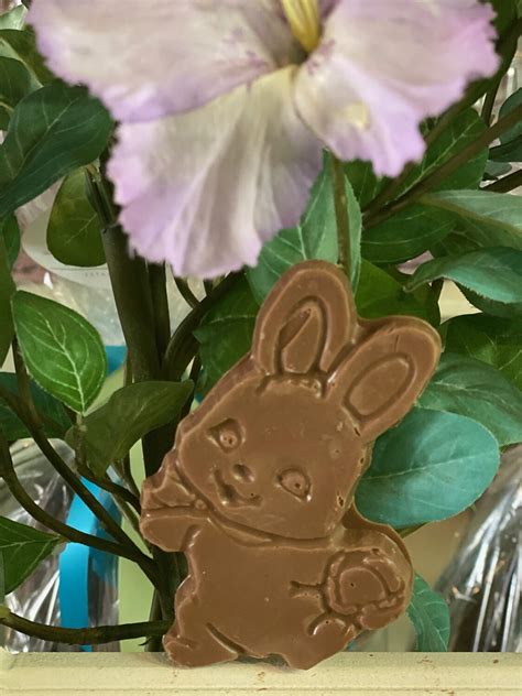 Happy Rabbit