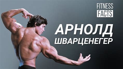 Арнолд Шварценегер l Живот, тренировъчен план и диета на легендарния ...