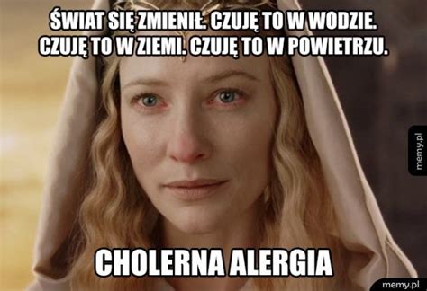 Alergia - Memy.pl