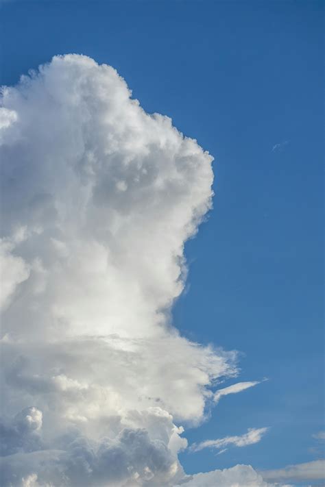 Mom+Big+Boobs Photos, Download The BEST Free Mom+Big+Boobs Stock Photos