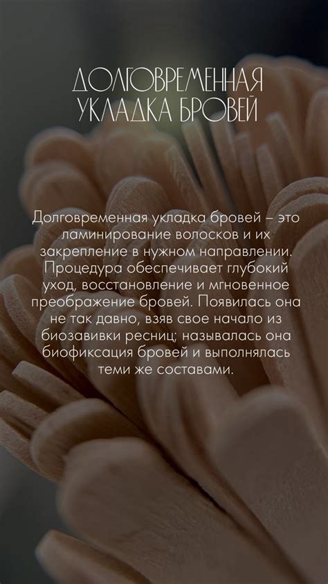 Долговременная укладка бровей идеи для сторис | Брови, Корекция бровей ...