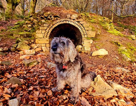 Readers are reacting to the latest argus newport investigative piece 23