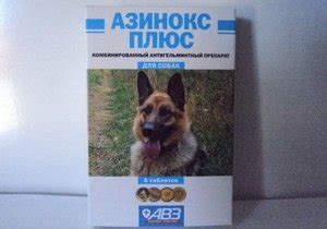 Азинокс плюс для собак — инструкция по применению