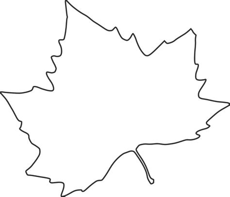 Lisc Kolorowanka - SL