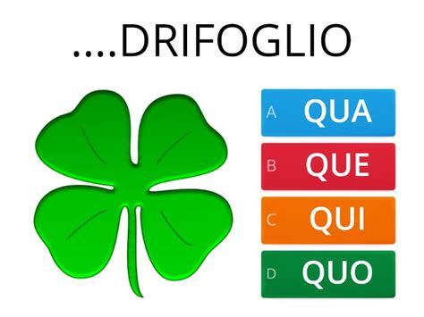 COMPLETA CON LE SILLABE QUA QUE QUI QUO - Quiz