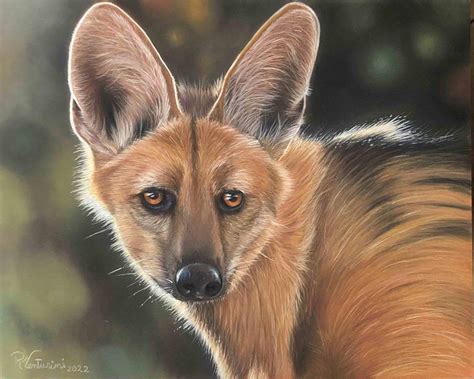 Buriti | Artists for Conservation