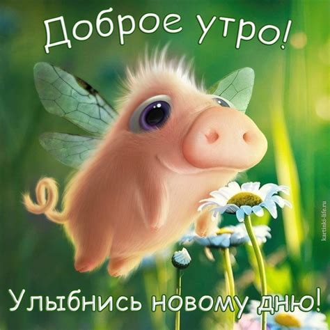 Картинки с добрым утром соня