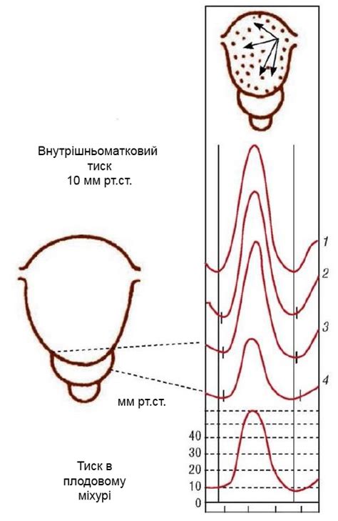 Агенція екстреної медичної допомоги - Інформація - Новина