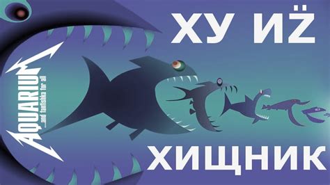 Хищные аквариумные рыбки. Рубим правду-матку! - YouTube