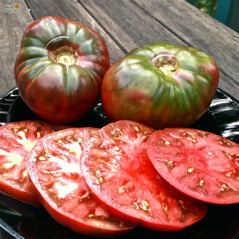 Slicing Tomato Seeds - Cherokee Purple | Sow True Seed