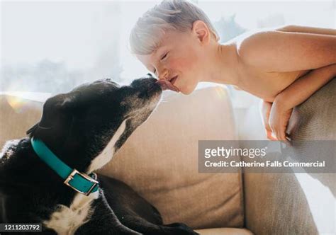 Docile Person Photos and Premium High Res Pictures - Getty Images