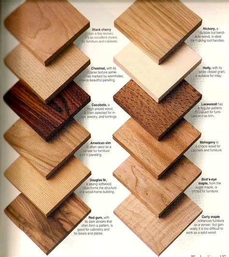 Wood Types Woodworking - woodworking projects